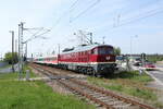 SLRS 232 088-5 mit dem Hochzeits-Charterzug DPE 19915 nach Thale Hbf, am 05.05.2023 bei der Ausfahrt in Erfurt Ost.