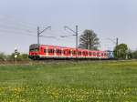 Eine S Bahn mit 111 017 nach Hartmannshof am 24.04.2011 unterwegs bei Baiersdorf.