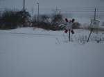 Eigentlich wollte ich am 30.Januar 2010 zu meinen Lieblingsfotopunkt in Bergen/Rgen doch ich schaffte gerade mal die Hlfte des Weges die Schneemassen waren Halt zuviel.Am Ende gab ich auf und kehrte wieder um.