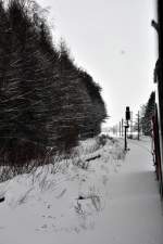 Fahrt durch's winterliche Vorpommern - eine witterungsbedingte Weichenstrung in Buchenhorst, kurz vor Velgast, macht ein Foto mglich auf dem Weg nach Hause nach Stralsund am 13.02.2010