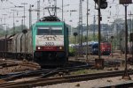 Die Cobra 2823 fhrt mit einem gemischten Gterzug von Antwerpen-Noord nach Kln-Gremberg in Aachen-West bei Sommerwetter.
7.5.2011