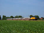 Bevor der Mais zu hoch wuchs und den Blick auf die Bahnstrecke verdeckt, konnten in den ersten Wochen der Amsterdam IC Umleiter im Sommer 2025 über Altenbeken noch einige Bilder an den Feldern zwischen Paderborn und Salzkotten entstehen. Hier befindet sich 193 948 mit einem IC von Amsterdam nach Berlin gerade im Zulauf auf Paderborn. Juni 2025