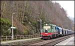 770 536 oder einfach eine Hummel im Elbtal. Aufgenommen in Schmilka-Hirschmühle.31.01.2015