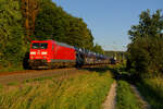 185 040 mit dem GA 60015 (Dingolfing - Maschen Rbf) bei Postbauer-Heng, 18.06.2020