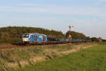 247 908  Debbie  war mit einem Autozug in Richtung Westerland/Sylt unterwegs. Aufgenommen am
15. September 2023 bei Klanxbüll. 