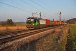 193 744 von ELL für Wiener Lokalbahnen mit einem Containerzug bei Seubersdorf Richtung Nürnberg, 23.03.2019