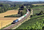 Containerzug mit 193 609-5 (X4 E - 609 | Siemens Vectron) unterwegs bei Nordheim (Württemberg) Richtung Heilbronn Gbf.

🧰 Mitsui Rail Capital Europe GmbH (MRCE), vermietet an die DB Fahrwegdienste GmbH, untervermietet an die boxXpress.de GmbH
🚩 Bahnstrecke Stuttgart–Würzburg (Frankenbahn | KBS 780)
🕓 31.7.2020 | 16:04 Uhr