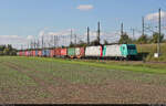 Containerzug mit 185 633-5 und der kalten Schwesterlok 185 507-1 unterwegs in Halle (Saale), Zöberitzer Weg, Richtung Delitzsch.