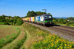 193 223 ELL/WLC mit einem Containerzug bei Parsberg Richtung Regensburg, 14.09.2020