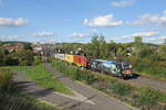 MRCE 193 876 mit Containerwagen Richtung Fulda, am 22.09.2022 in Bad Hersfeld.