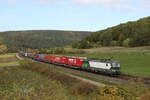 193 758 von  ELL  mit einem Containerzug am 11.