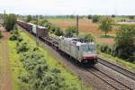 185 580-8  Jana  von Crossrail am 22.08.2014 mit einem Containerzug nach Belgien zwischen Auggen und Müllheim (Baden) auf der KBS 703.