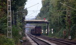 Ein Nachuschuss auf einen Volvo-Containerzug aus Gent(B) nach Almhult(S).