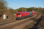 1016 009 mit einem gemischten Güterzug bei Kerschhofen Richtung Nürnberg, 22.03.2019