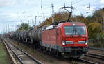 DB Cargo AG [D] mit  193 380  [NVR-Nummer: 91 80 6193 380-3 D-DB] und gemischtem Güterzug Richtung Rangierbahnhof Seddin am 04.11.20 Berlin Hirschgarten. 