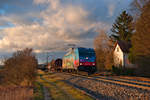 185 367  Günni  mit einem gemischten Güterzug bei Postbauer-Heng Richtung Regensburg, 19.02.2020 