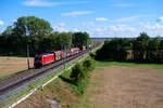 187 134 DB Cargo mit einem gemischten Güterzug bei Gollhofen Richtung Würzburg Hbf, 02.09.2020