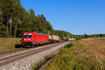 187 136 DB Cargo mit einem gemischten Güterzug bei Hagenbüchach Richtung Würzburg, 19.09.2020