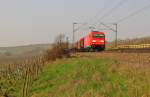 RAILION DB Logistics 185 258-1 mit einem gemischten Gterzug Richtung Wiesbaden, am 23.03.2012 im Rheingau bei Erbach.