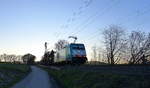 Die Cobra 2837  kommt die Gemmenicher-Rampe herunter nach Aachen-West mit einem Güterzug aus
Antwerpen-Noord(B) nach Köln-Gremberg(D). 
Aufgenommen an der Montzenroute am Gemmenicher-Weg.
In der Abendstimmung vom 5.2.2018.