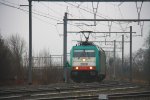 Die Cobra 2808 fhrt mit einem Papierzug aus Aachen-West und fhrt durch Montzen-Gare Richtung Vise bei Nieselregen am 31.12.2011.