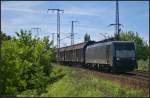 CTL Logistics ES 64 F4-201 mit dem Waschmaschinen-Zug am 05.06.2013 in der Berliner Wuhlheide