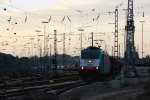 Die Cobra 2830 fhrt mit einem Kurzen Schrottzug von Aachen-West nach Belgien bei der Ausfahrt aus Aachen-West und fhrt in Richtung Montzen/Belgien in der Abendstimmung und in der Abendsonne vom