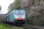 Die Cobra 2818 kommt die Gemmenicher-Rampe herunter nach Aachen-West mit einem Coilzug aus Kinkempois(B) nach Pirna(D).