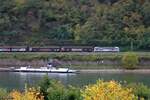 Eine 193 (Railpool / Rail Force One) mit einem Güterzug am Rhein zwischen Bacharach und Oberwesel, 22.