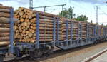 Drehgestell-Flachwagen mit Rungen und Niederbindeeinrichtung vom Einsteller European Rail Rent GmbH zum Transport von Stammholz, im Bild der Wagen mit der Nr. 37 TEN 80 D-ERR 4725 785-2 Snps (GE) Bf. Duisburg-Hafen in einem Holztransportzug am 06.10.21 Bf. Golm (Potsdam). 