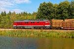 Schublok 232 356 WFL mit einem schweren Holzzug bei Wiesau Richtung Regensburg, 05.09.2020