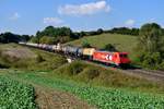 Etwas später passierte die noch in HGK-Farbgebung befindliche RheinCargo 185 603 mit ihrem DGS 95102 meinen Standort bei Fahlenbach.