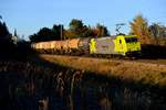 Wenige Augenblicke vor Sonnenuntergang passierte noch die RheinCargo 119 004 mit einem Kesselwagenzug das Sonnenblumenfeld bei Fahlenbach (31.