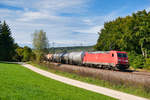 185 344 mit einem Kesselwagenzug bei Dollnstein Richtung Ingolstadt, 29.09.2019