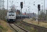 RheinCargo RHC 187 077-3 / Umleiter / Anklam / 27.11.2021 - ich stehe am Ende vom Bahnsteig an 2