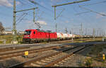 187 156-5 schleppt verschiedenste Kesselwagen am Bahnübergang Karl-von-Thielen-Straße Richtung Zugbildungsanlage (ZBA) Halle (Saale).
Aufgenommen hinter dem Geländer.

🧰 DB Cargo
🕓 13.9.2021 | 16:59 Uhr