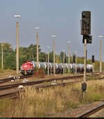 Inmitten des Masten-Gewirrs macht sich im Bahnhof Baalberge ein Kesselzug mit 261 041-8 (Voith Gravita 10 BB) zur Abfahrt bereit.