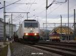 Morgendliche Alternativ-Begegnung - ITL BR285 passiert mit einem lzug nach Tschechien in DD-Hauptbahnhof eine fr den nchsten EC in gleicher Richtung bereitstehende CD BR371 (27.11.2009).