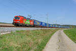 193 301  Das ist grün  mit einem LKW-Walter KLV-Zug bei Oberdachstetten Richtung Würzburg, 25.04.2020