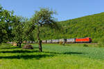 193 353 mit einem KLV-Zug bei Wernfeld Richtung Gemünden, 07.05.2020