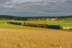 192 010 Northrail/TXL mit einem KLV-Zug bei Oberdachstetten Richtung Würzburg, 17.07.2020