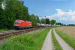 1116 271 ÖBB mit einem KLV-Zug bei Langenisarhofen Richtung Regensburg, 21.07.2020