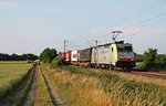 Im Abendlicht des 11.06.2015 fuhr Re 486 506 südlich von Buggingen mit einem TXL-KLV in Richtung Basel/Italien.