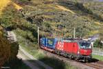 1293 024-6 (ÖBB) mit einem Sattelaufliegerzug in Oberwesel, 24.