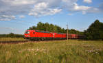 193 334-0 und 193 315-9 in Doppeltraktion der DB Cargo, unterwegs in Richtung Hamburg.