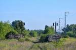 Morgenidylle in der Wuhlheide. Die Natur hat sich seit der Stillegung 1994 vieles zurück geholt und so hat sich das Areal zu einem kleinen Biotop entwickelt.

Berlin 18.07.2020