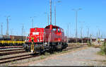 Kurze Führerstandsmitfahrten waren auf 261 094-7 (Voith Gravita 10 BB) zum Tag der Schiene in der Zugbildungsanlage (ZBA) Halle (Saale) möglich.

🧰 DB Cargo
🕓 16.9.2023 | 12:38 Uhr