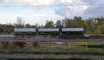 Lichterfahrt ins Lausitzer Braunkohlerevier

Werkseigene Kohlewagen mit den Nummern 40-11648, 40-11840 und 40-10450 am Bahnhof Peitz Ost. Das Foto entstand aus dem Fenster eines Sonderzuges, der eine Kraftwerks-Rundfahrt unternahm.

🧰 Lausitz Energie Bergbau AG (LEAG)
🕓 5.11.2022 | 13:22 Uhr