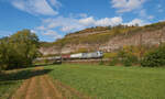 187 501 der Hessischen Güterbahn zog am 14.10.2023 bei Himmelstadt einen Kesselwagenzug durch das Maintal  