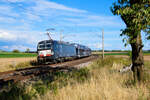 193 851 MRCE mit einem Autotransportzug bei Uffenheim Richtung Würzburg, 02.09.2020